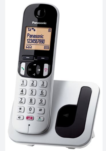 CORDLESS PANASONIC KX-TGC250JTS CON VIVAVOCE SILVER
