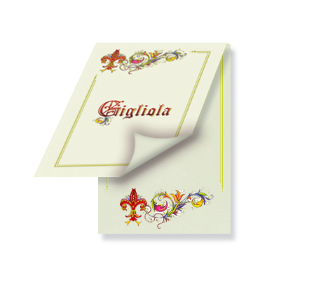 MEMO GIGLIOLA 8,5X12,5 DA 50 FOGLI BOX20 NOTEPADS
