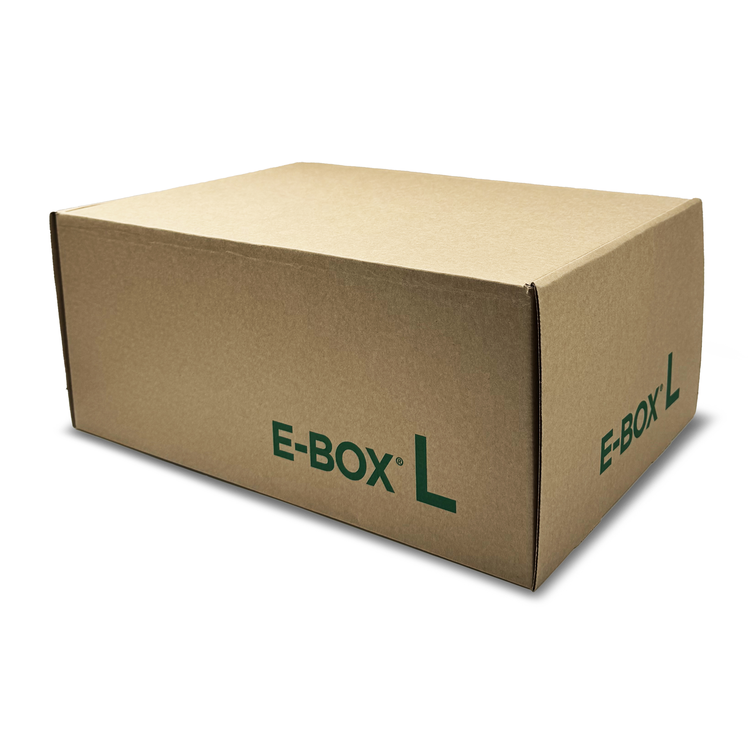 SCATOLA E-BOX AUTOMONTANTE L 400X270X170 BOX10
