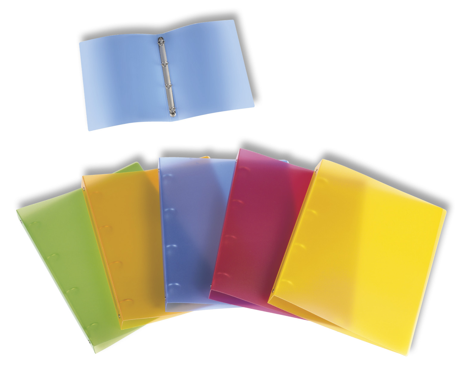 RACCOGLITORE TRASPARENTE 4 ANELLI COLORI ASSORTITI DORSO 30MM BOX12